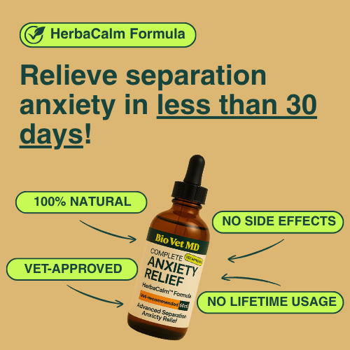 HerbaCalm+ Dog Calming Drops (FREE Today)