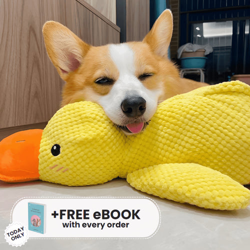 BioVet Calming Duck Toy (FREE Today)