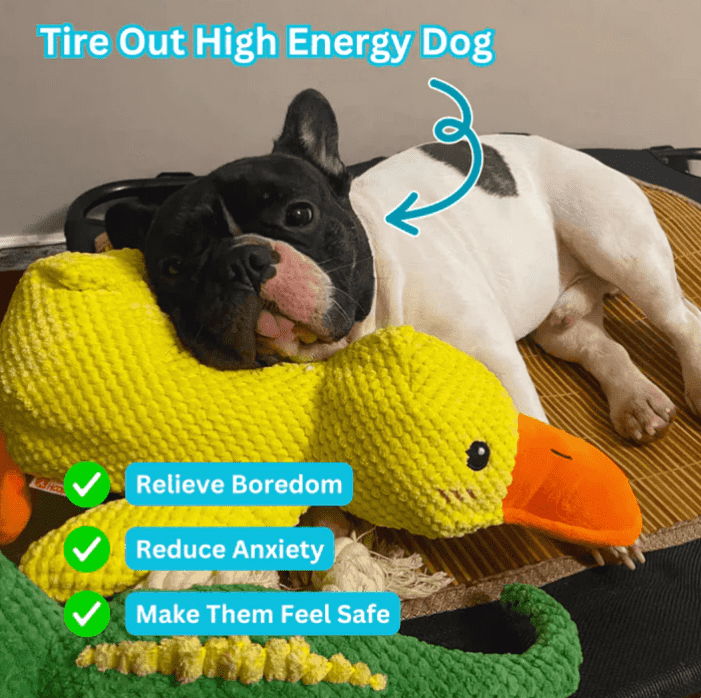 BioVet Calming Duck Toy (FREE Today)