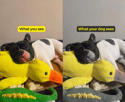 BioVet Calming Duck Toy (FREE Today)